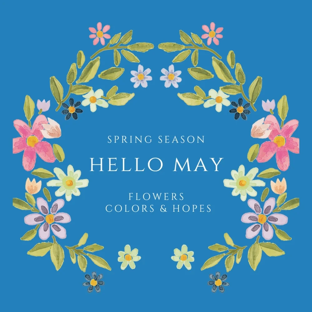 BUNDLE - Picture 3 of 16